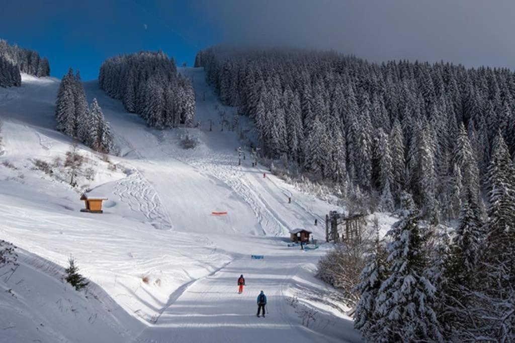Dans Residence Neuve Le Snow Roc Sur Les Pistes, Grand Studio Cosy 5 Pers Avec Terrasse Panoramique, Sauna, Wifi Saint-Jean-dʼAulps Εξωτερικό φωτογραφία