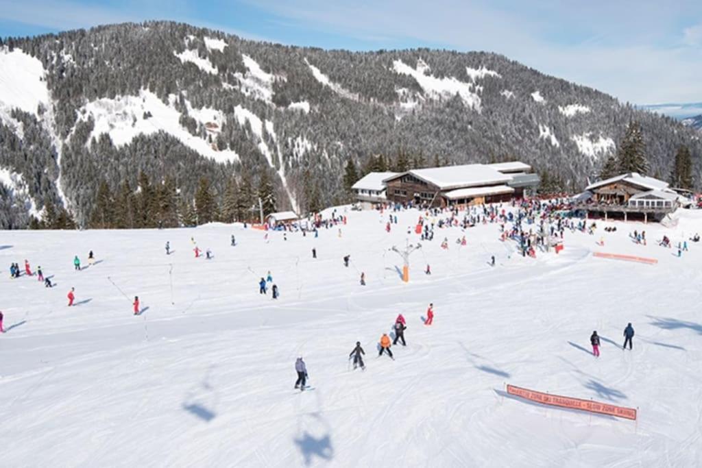 Dans Residence Neuve Le Snow Roc Sur Les Pistes, Grand Studio Cosy 5 Pers Avec Terrasse Panoramique, Sauna, Wifi Saint-Jean-dʼAulps Εξωτερικό φωτογραφία