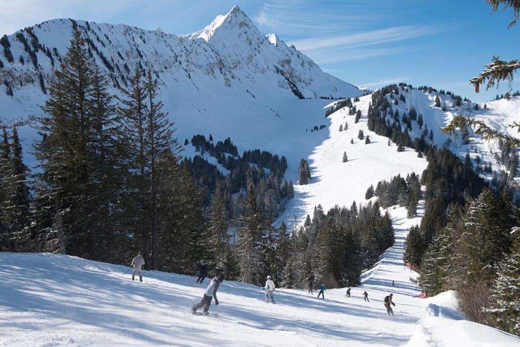 Dans Residence Neuve Le Snow Roc Sur Les Pistes, Grand Studio Cosy 5 Pers Avec Terrasse Panoramique, Sauna, Wifi Saint-Jean-dʼAulps Εξωτερικό φωτογραφία